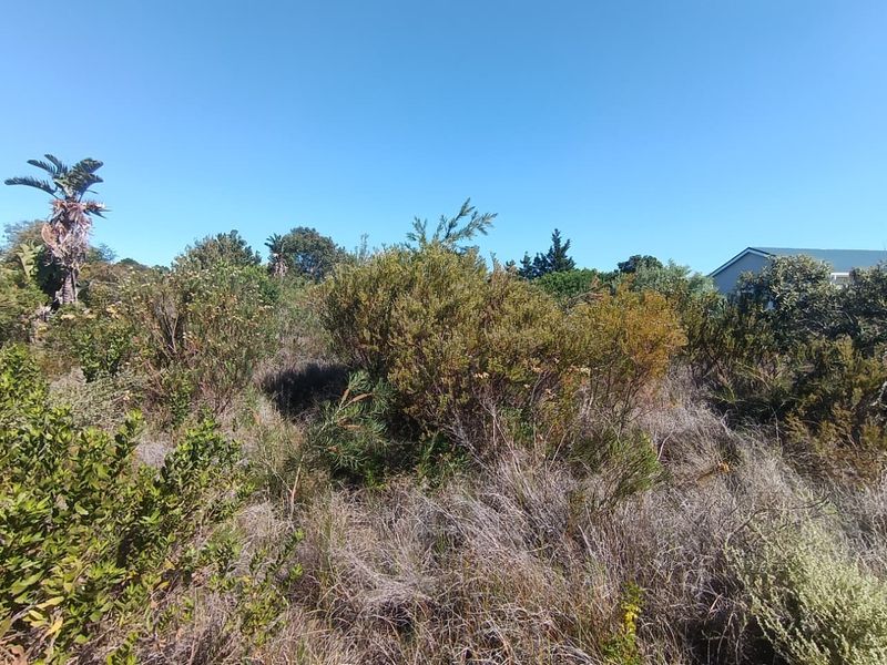 "Explore this 1141m2 vacant land in Fisherhaven, Hermanus—your canvas for a dream home awaits!" - Photo 10