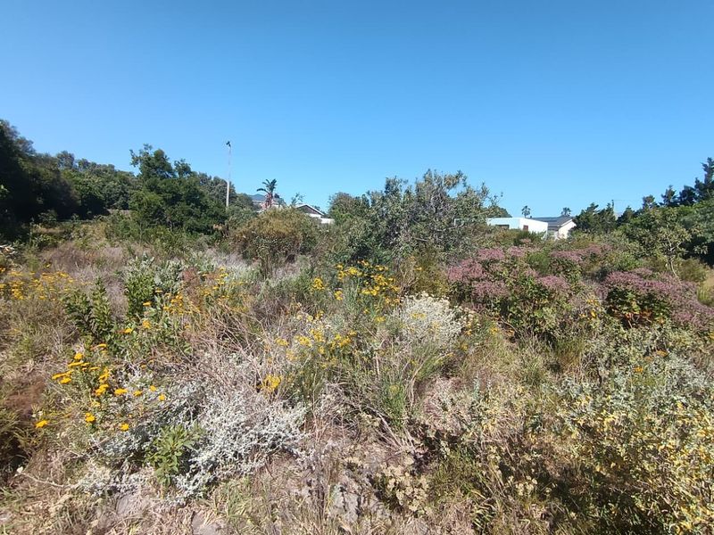 "Explore this 1141m2 vacant land in Fisherhaven, Hermanus—your canvas for a dream home awaits!" - Photo 9