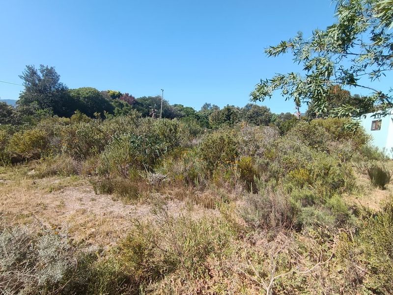 "Explore this 1141m2 vacant land in Fisherhaven, Hermanus—your canvas for a dream home awaits!" - Photo 7