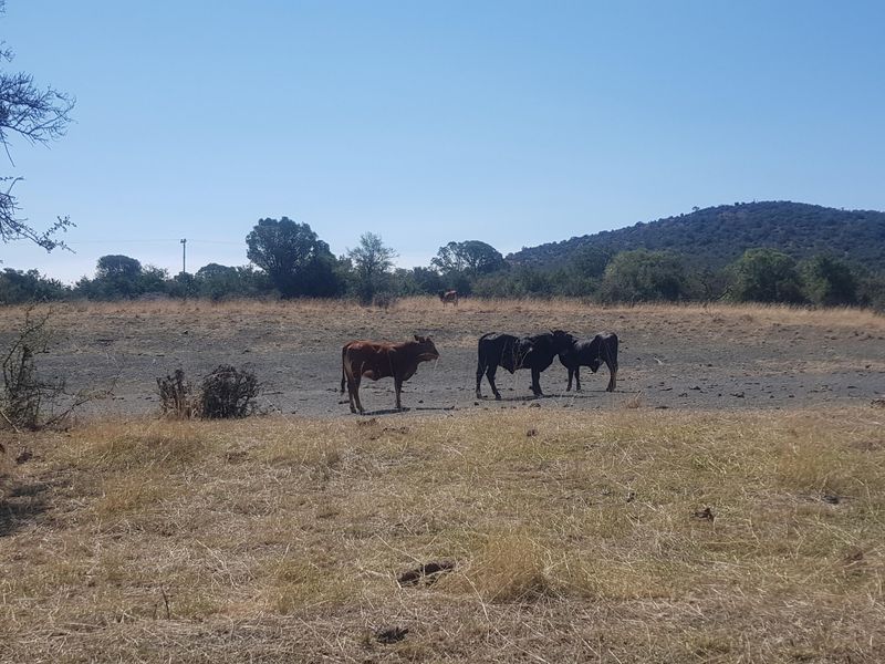 450 Hectare Farm - Photo 4