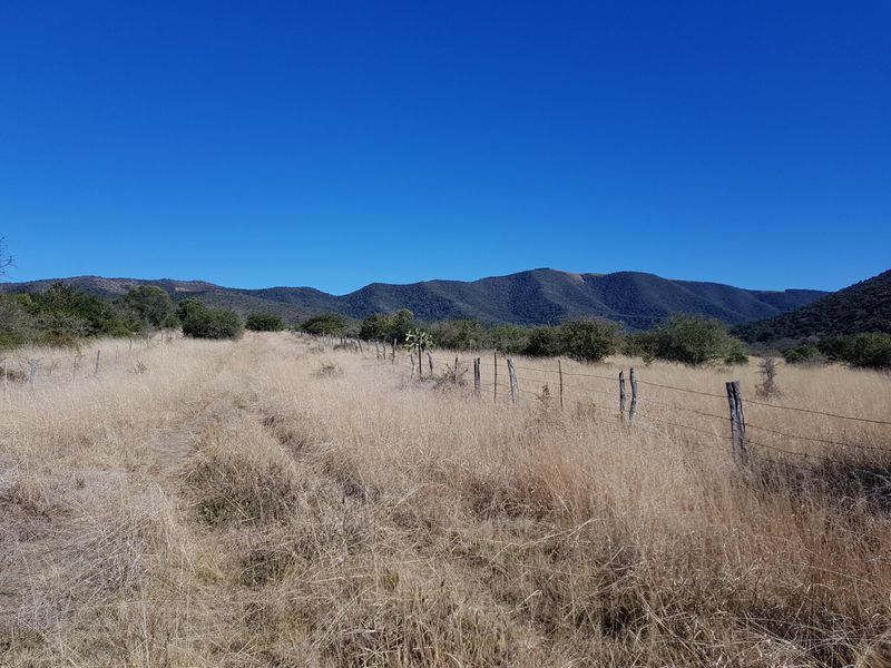 450 Hectare Farm - Photo 10