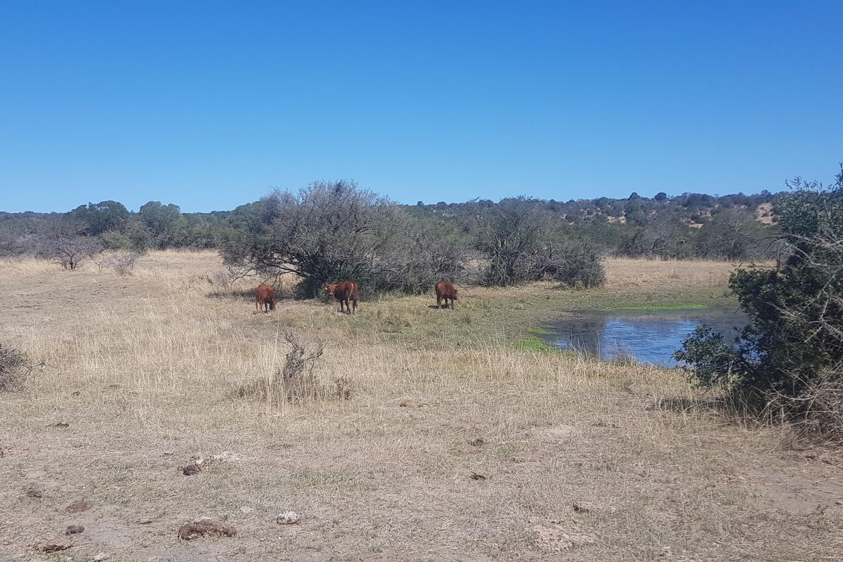 450 Hectare Farm - Photo 3