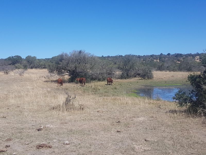 450 Hectare Farm - Photo 3