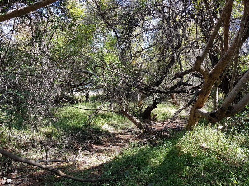 450 Hectare Farm - Photo 8