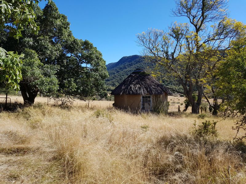 450 Hectare Farm - Photo 9