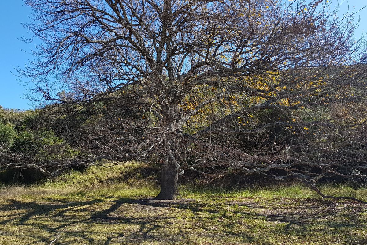 450 Hectare Farm - Photo 2