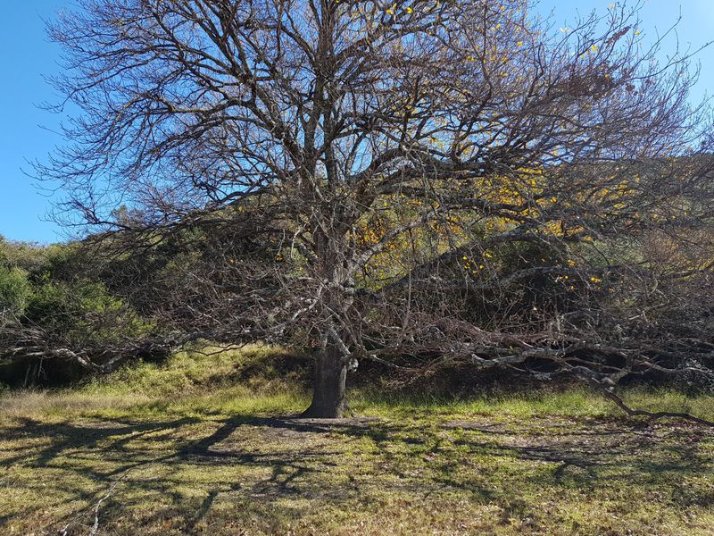 450 Hectare Farm - Photo 2