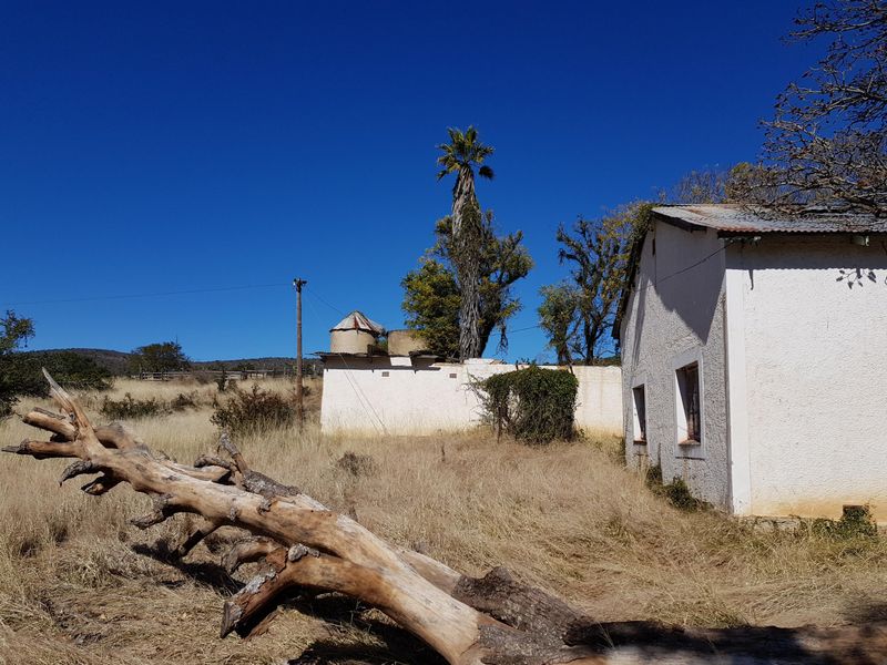 450 Hectare Farm - Photo 7