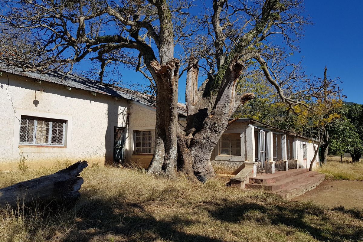 450 Hectare Farm - Photo 5