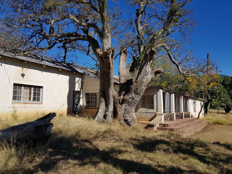 450 Hectare Farm - Photo 5