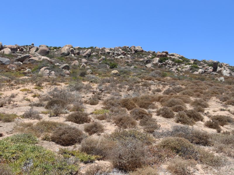 Vacant land for sale in Kapteins kloof, St Helena Bay - Photo 10