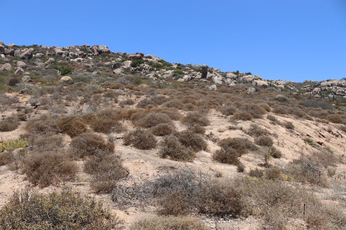 Vacant land for sale in Kapteins kloof, St Helena Bay - Photo 4