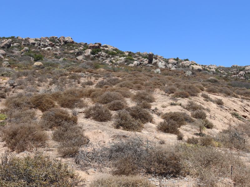 Vacant land for sale in Kapteins kloof, St Helena Bay - Photo 4