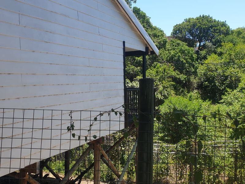 Escape to Nature: Spacious 3-Bedroom Cabin To Let Beacon Bay - Photo 4