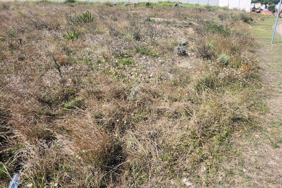 Embracing peaceful living, this level erf is ideally suited for a duet development. - Photo 5