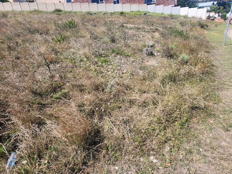 Embracing peaceful living, this level erf is ideally suited for a duet development. - Photo 5