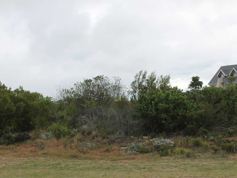 Where Vision Meets Real Return - Photo 10