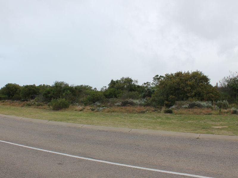 Where Vision Meets Real Return - Photo 8