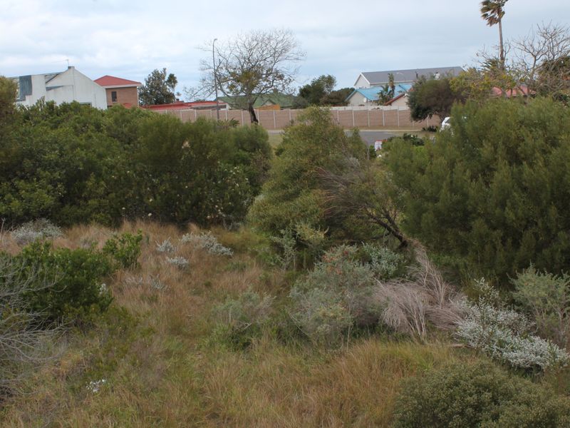 Where Vision Meets Real Return - Photo 3