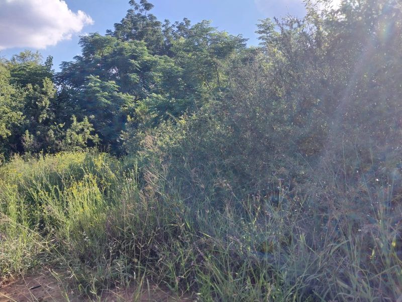 BEAUTIFUL STAND FOR SALE IN OLIFANTSNEK – PEACEFUL NATURE SETTING. - Photo 2