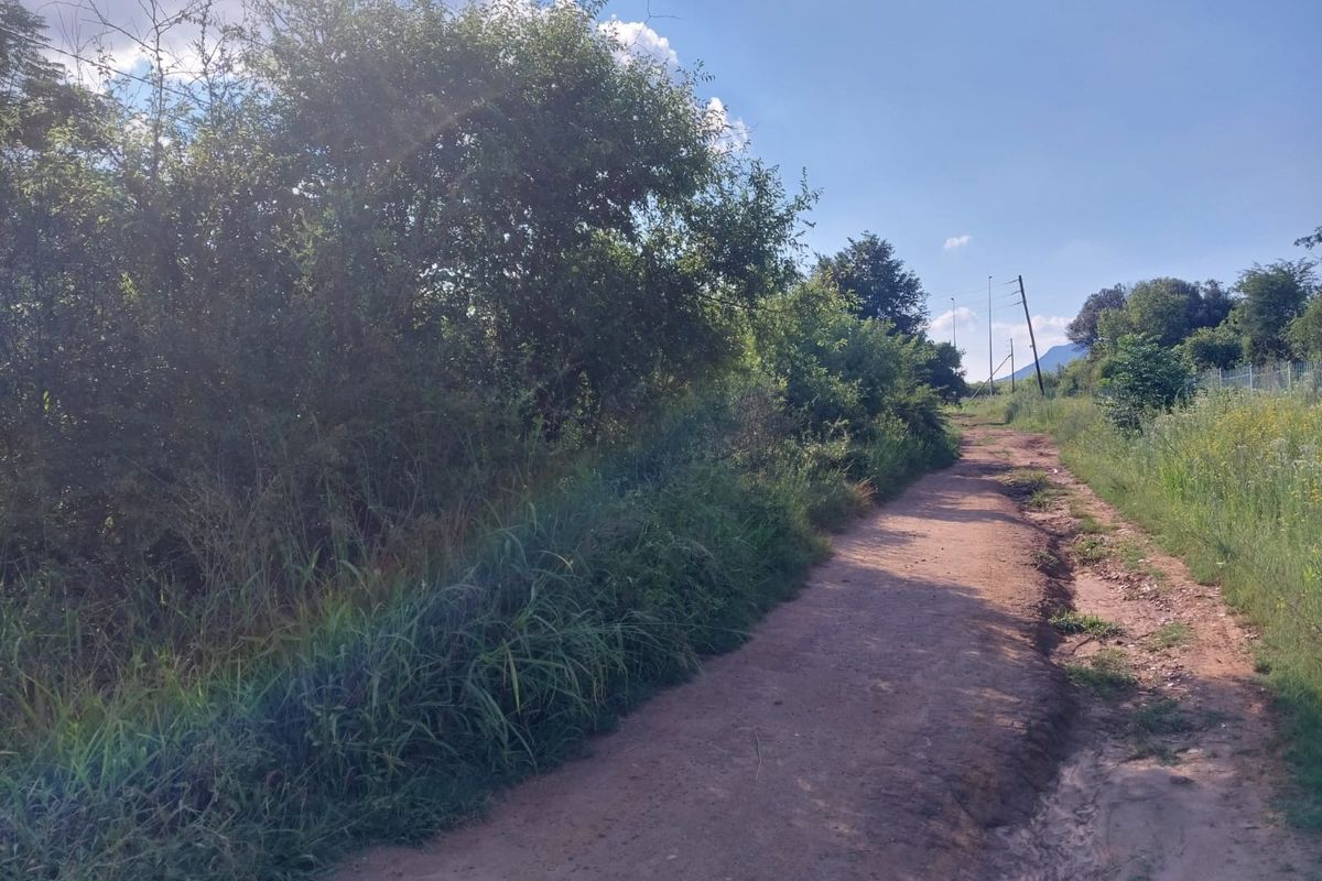 BEAUTIFUL STAND FOR SALE IN OLIFANTSNEK – PEACEFUL NATURE SETTING. - Photo 3