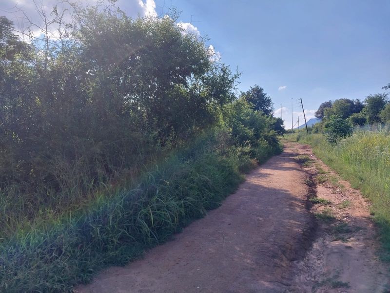 BEAUTIFUL STAND FOR SALE IN OLIFANTSNEK – PEACEFUL NATURE SETTING. - Photo 3