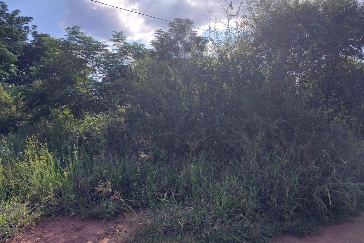 BEAUTIFUL STAND FOR SALE IN OLIFANTSNEK – PEACEFUL NATURE SETTING. - Photo 4