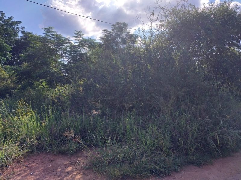 BEAUTIFUL STAND FOR SALE IN OLIFANTSNEK – PEACEFUL NATURE SETTING. - Photo 4