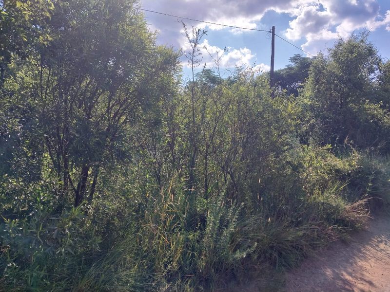 BEAUTIFUL STAND FOR SALE IN OLIFANTSNEK – PEACEFUL NATURE SETTING. - Photo 6