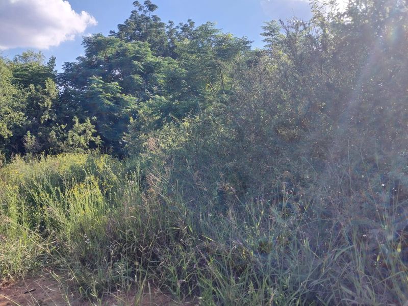 BEAUTIFUL STAND FOR SALE IN OLIFANTSNEK – PEACEFUL NATURE SETTING. - Photo 5