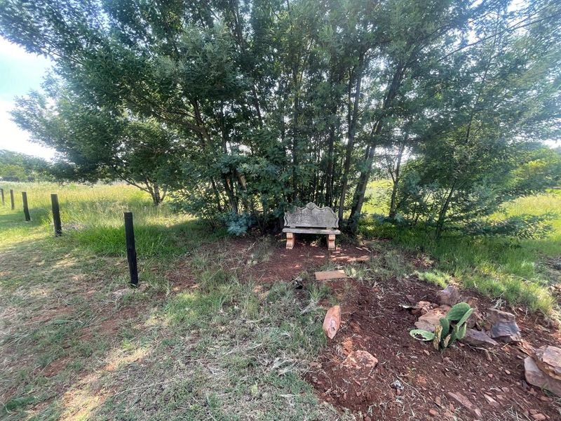 Rural Charm Awaiting Your Vision!!!!! - Photo 9