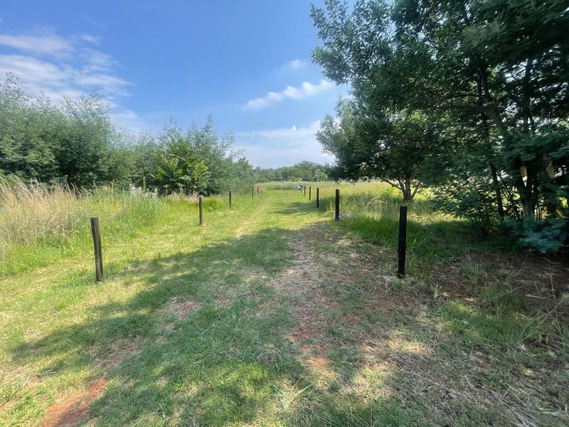 Rural Charm Awaiting Your Vision!!!!! - Photo 7