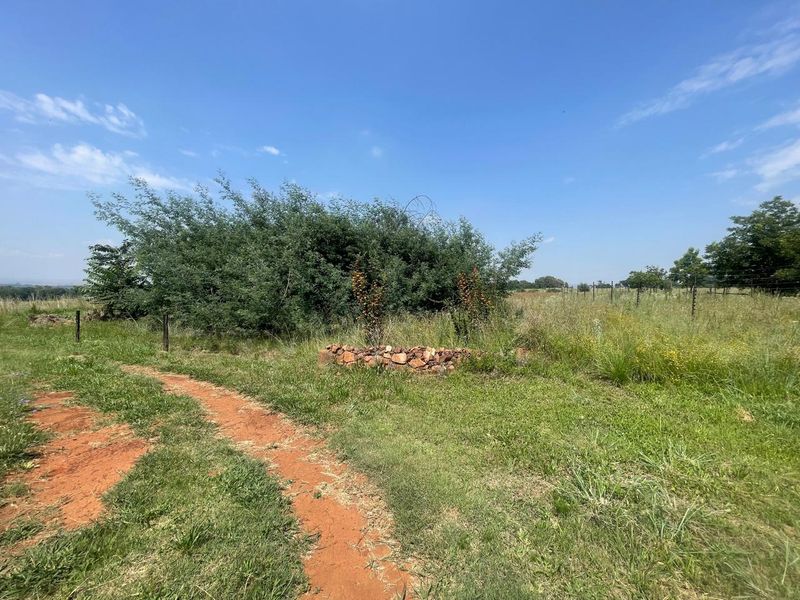 Rural Charm Awaiting Your Vision!!!!! - Photo 6