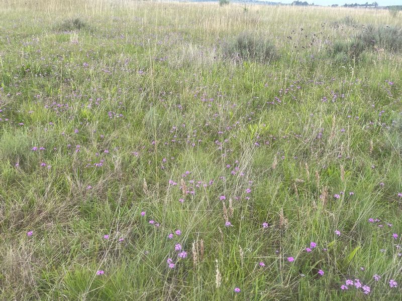 Hurry !!!!! Last Stand Left - Invest in your future Today..... - Photo 9