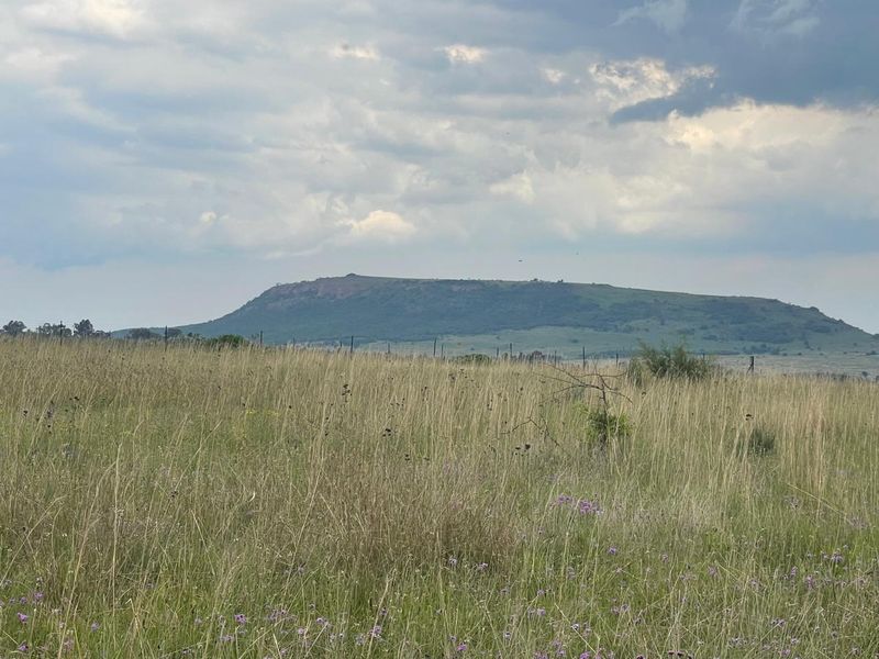 Hurry !!!!! Last Stand Left - Invest in your future Today..... - Photo 8