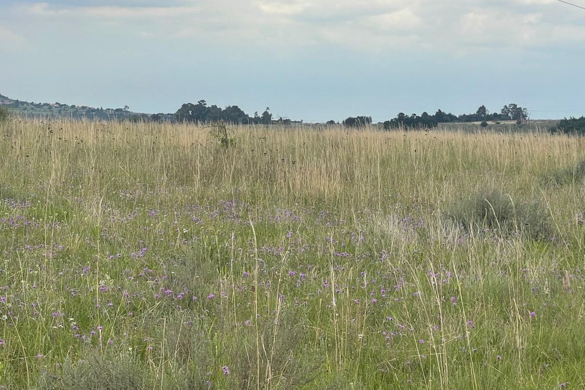 Hurry !!!!! Last Stand Left - Invest in your future Today..... - Photo 2