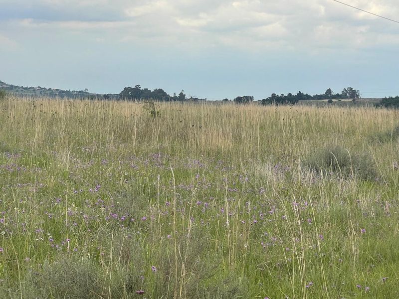 Hurry !!!!! Last Stand Left - Invest in your future Today..... - Photo 2