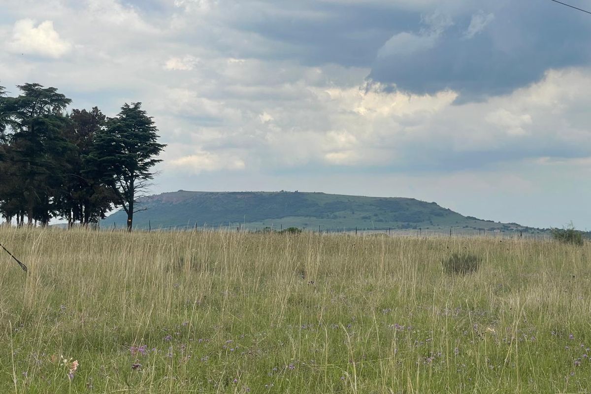 Hurry !!!!! Last Stand Left - Invest in your future Today..... - Photo 3