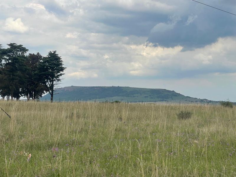 Hurry !!!!! Last Stand Left - Invest in your future Today..... - Photo 3