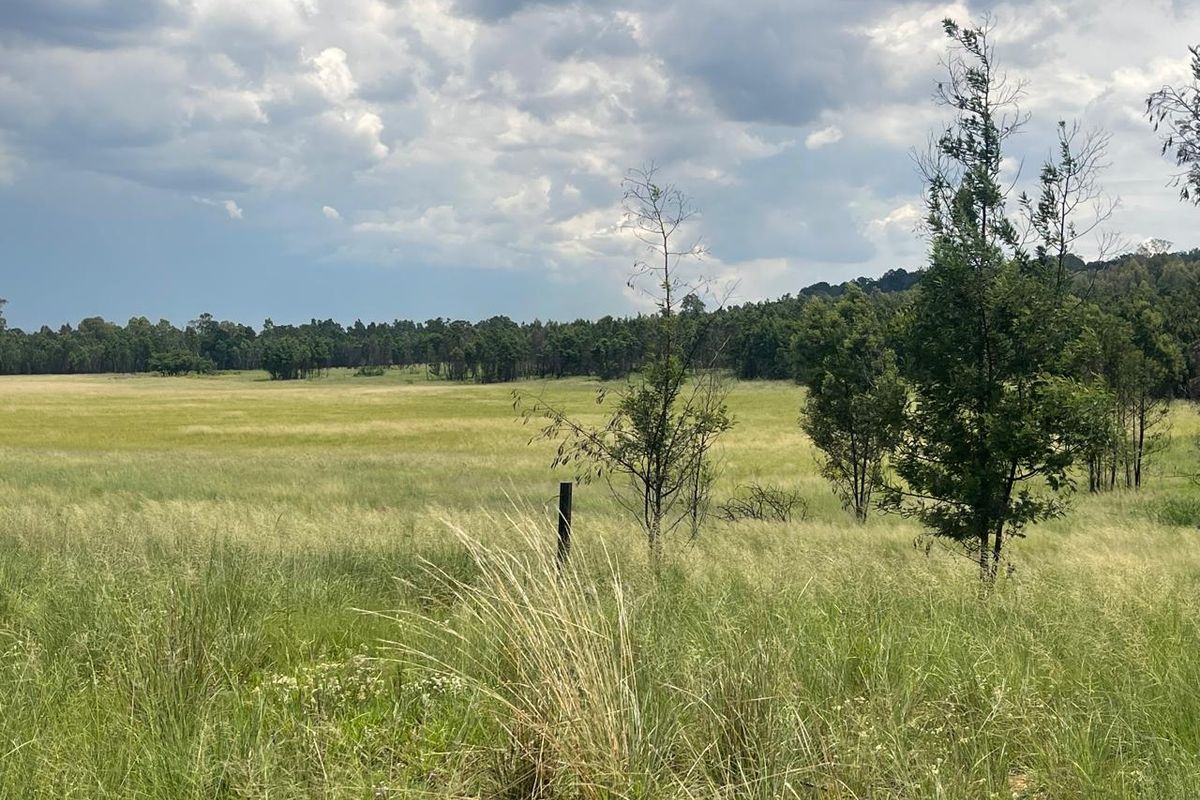 Exceptional 45ha Landmark Property on Randvaal Road – A Visionary Development Opportunity - Photo 5