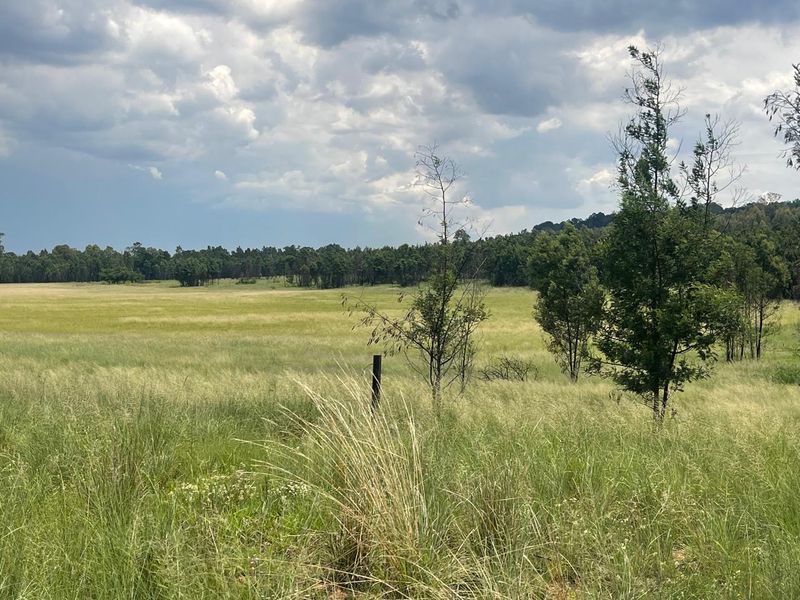 Exceptional 45ha Landmark Property on Randvaal Road – A Visionary Development Opportunity - Photo 5