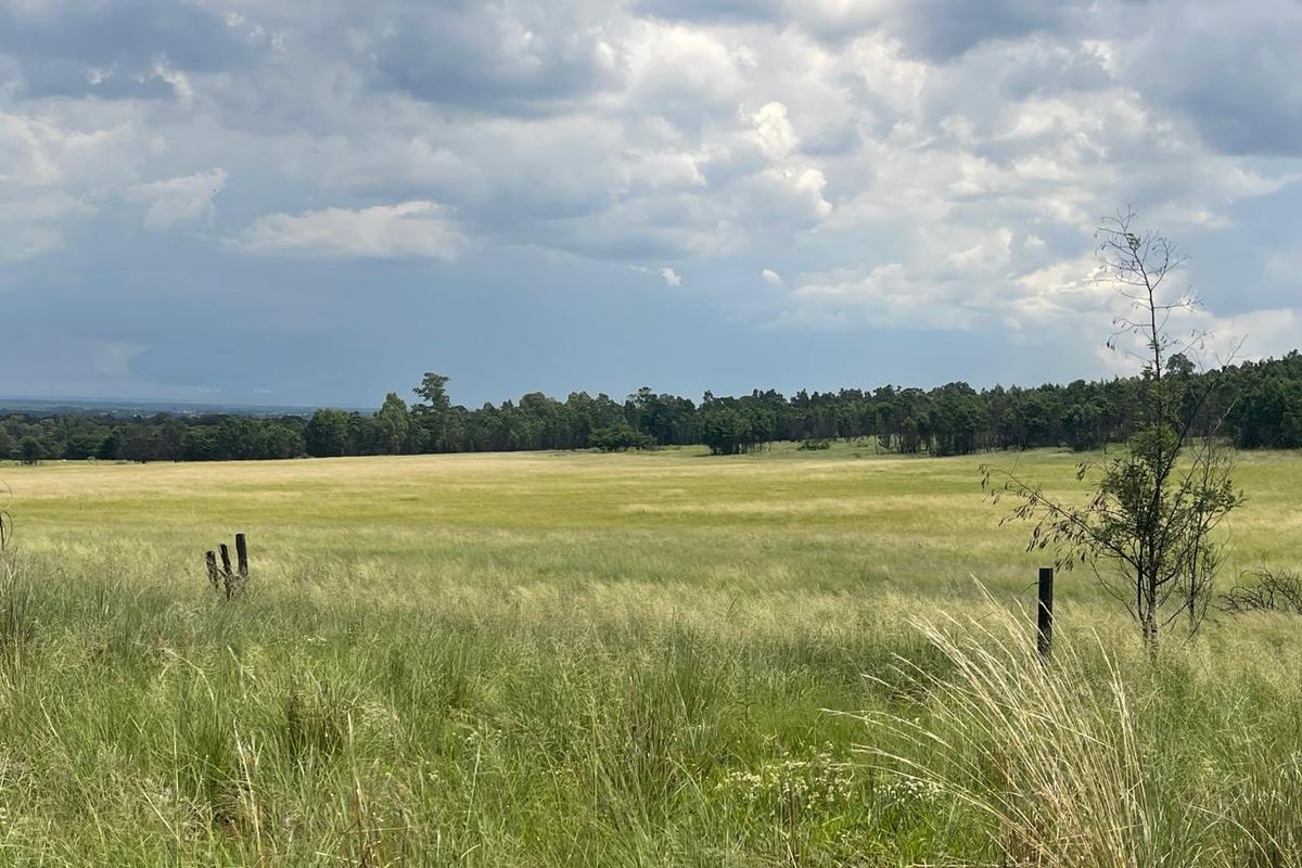 Exceptional 45ha Landmark Property on Randvaal Road – A Visionary Development Opportunity - Photo 4