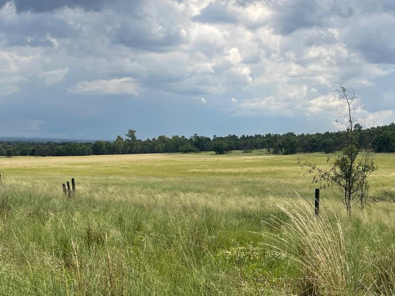 Exceptional 45ha Landmark Property on Randvaal Road – A Visionary Development Opportunity - Photo 4