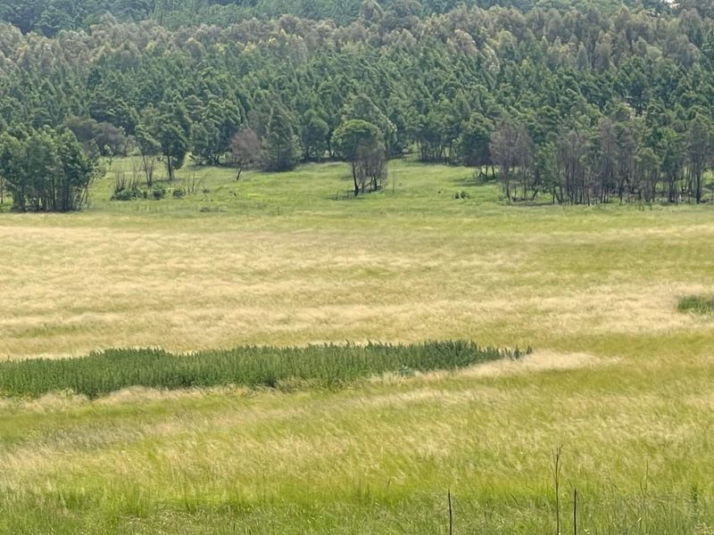 Exceptional 45ha Landmark Property on Randvaal Road – A Visionary Development Opportunity - Photo 10