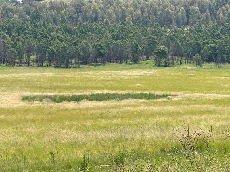 Exceptional 45ha Landmark Property on Randvaal Road – A Visionary Development Opportunity - Photo 9