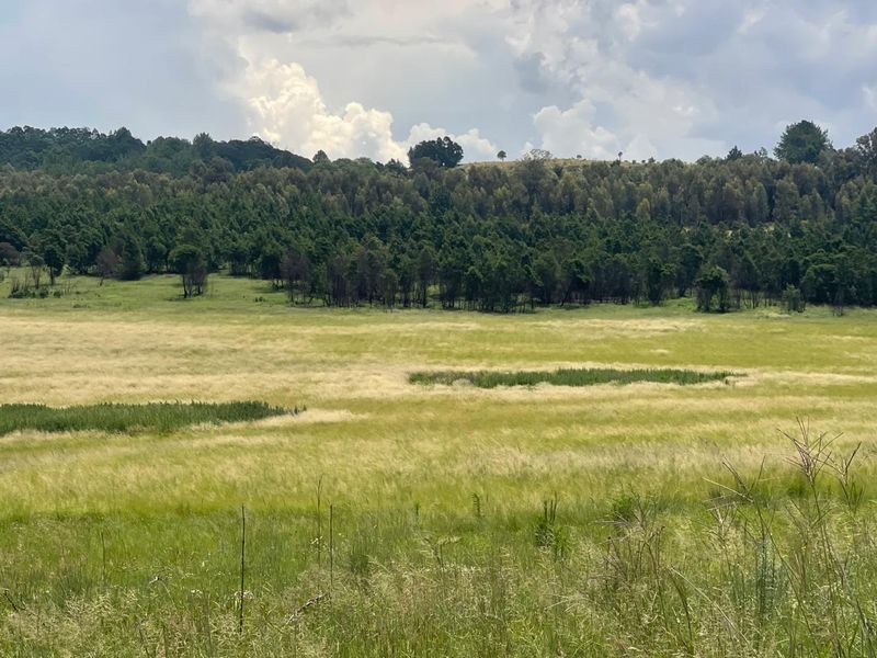 Exceptional 45ha Landmark Property on Randvaal Road – A Visionary Development Opportunity - Photo 8