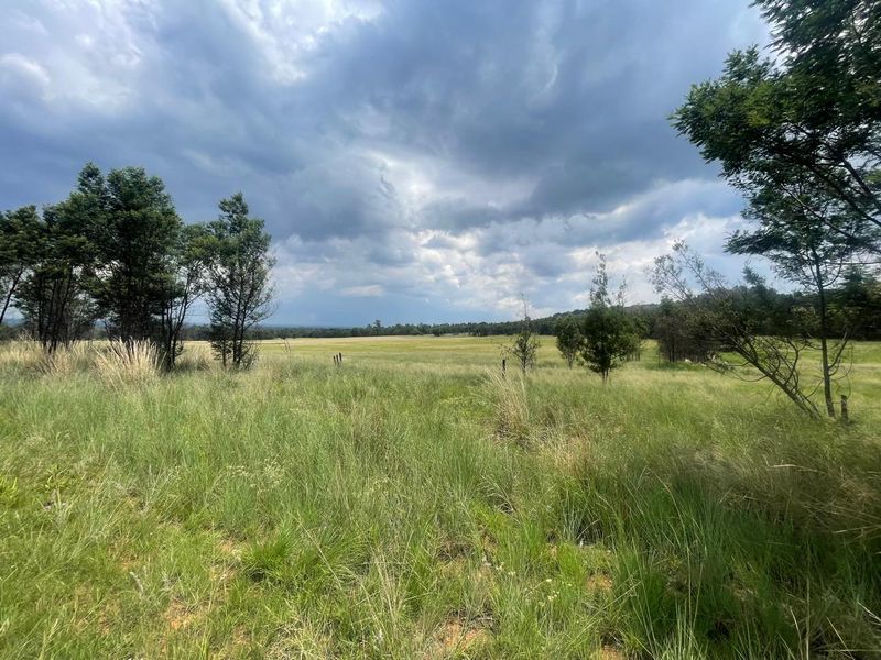 Exceptional 45ha Landmark Property on Randvaal Road – A Visionary Development Opportunity - Photo 7