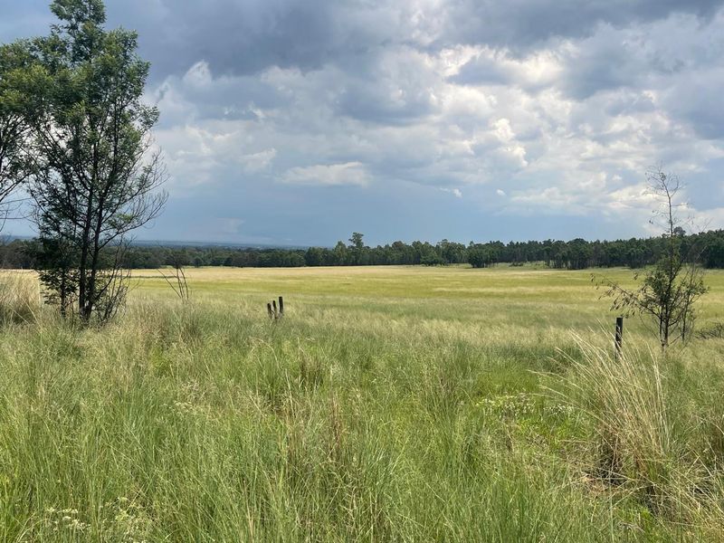 Exceptional 45ha Landmark Property on Randvaal Road – A Visionary Development Opportunity - Photo 6