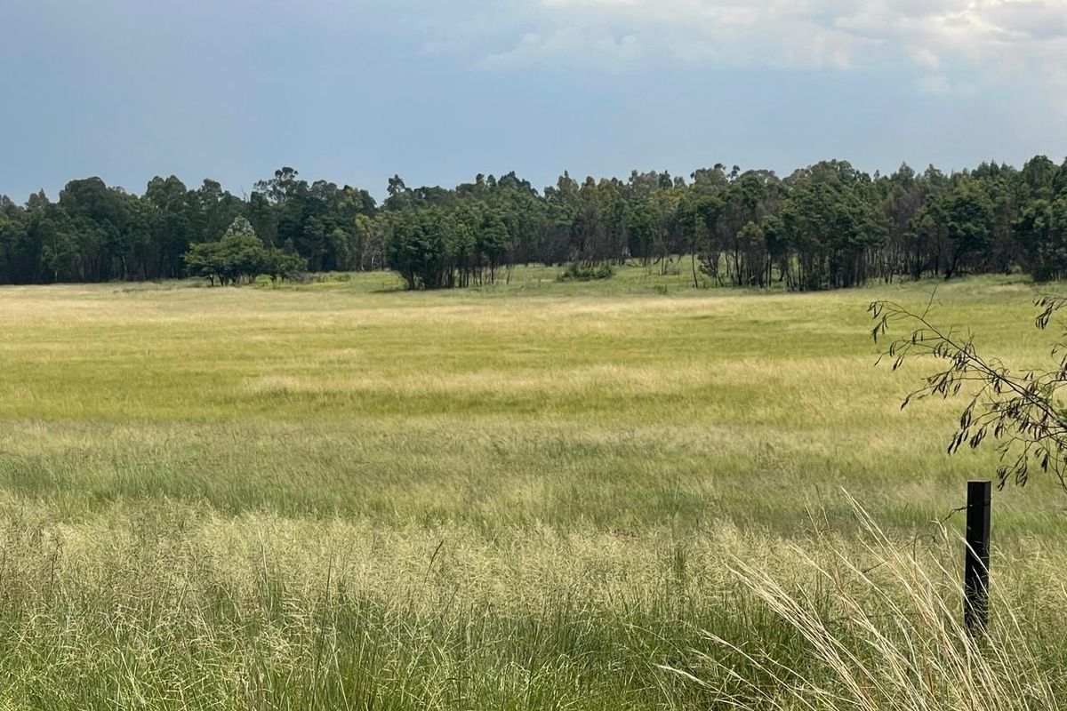 Exceptional 45ha Landmark Property on Randvaal Road – A Visionary Development Opportunity - Photo 2