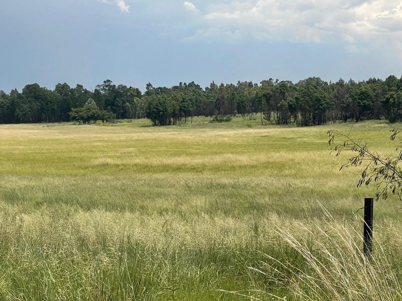 Exceptional 45ha Landmark Property on Randvaal Road – A Visionary Development Opportunity - Photo 2